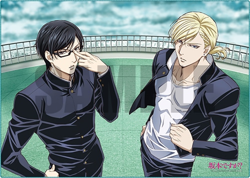 坂本ですが？ クーレストビッグタオルD D