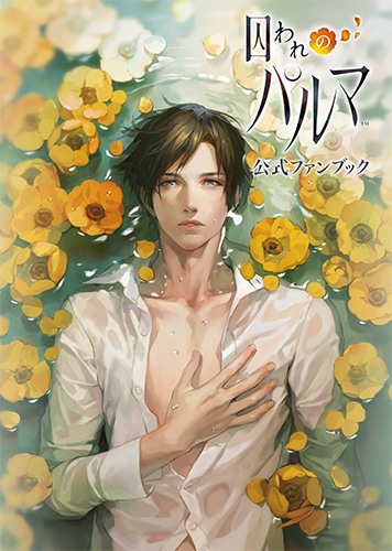 囚われのパルマ 公式ファンブック ebtenDXパック ebtenDXパック