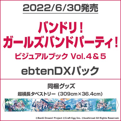 バンドリ！ ガールズバンドパーティ！ ビジュアルブック Vol.4&5 ebtenDXパック ebtenDXパック