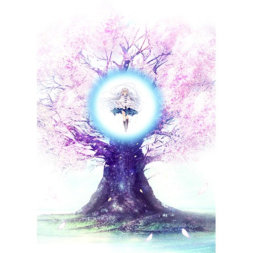 D.C.5 ～ダ・カーポ5～ 豪華限定版（エビテン限定特典付き） 豪華限定版