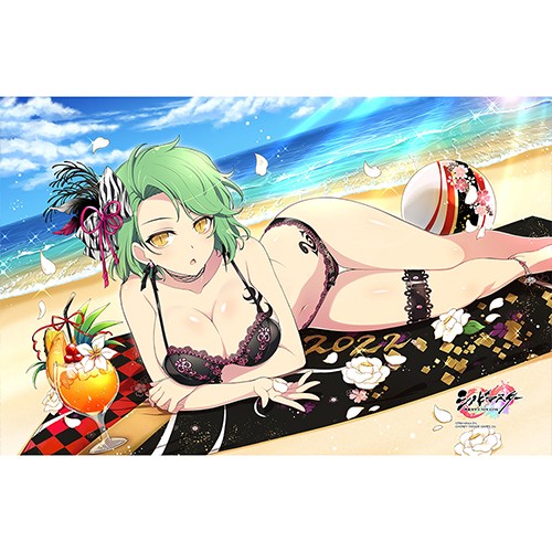 シノビマスター 閃乱カグラ NEW LINK タオルケット（日影） （日影）