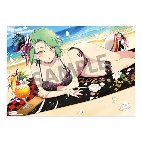 シノビマスター 閃乱カグラ NEW LINK ビジュアルアクリルプレート日影(伝説爆乳祭) ビジュアルアクリルプレート 日影(伝説爆乳祭)