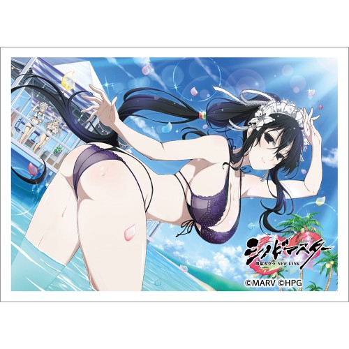 シノビマスター 閃乱カグラ NEW LINK スリーブﾞ(雪不帰/81の日爆乳祭) スリーブﾞ(雪不帰/81の日爆乳祭)