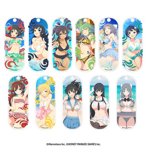 閃乱カグラ　アクリルレイヤーキーチェーン パッケージ版 パッケージ版