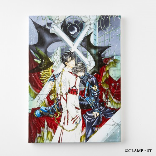 X Canvas Art B B