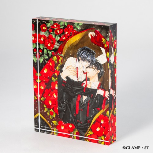 X Acrylic Block C C