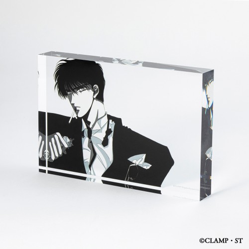 TOKYO BABYLON Acrylic Block D D