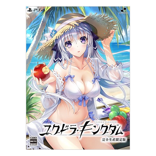 ユグドラ・キングダム 完全生産限定版 ファミ通DXパック PS4 完全生産限定版 DXパック PS4