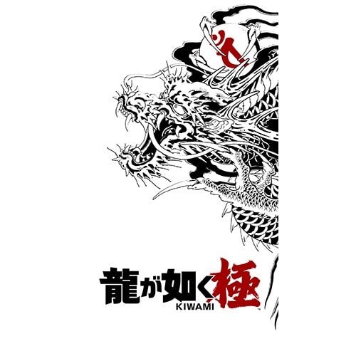 龍が如く 極 Nintendo Switch2版 単品 Nintendo Switch2版