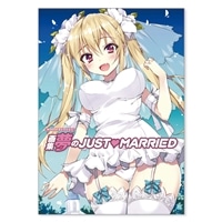 MOEOHセレクション 画集 夢のJUST▽MARRIED