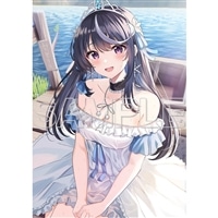 『VTuberなんだが配信切り忘れたら伝説になってた7』ファンタジアスペシャルパック（B2タペストリー）