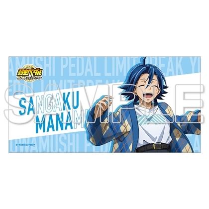 TVアニメ「弱虫ペダル」10周年フェスティバル ビッグタオル 真波山岳