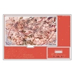 緋花　根の国底の果て　七原しえ画集　アクリルスタンド　B