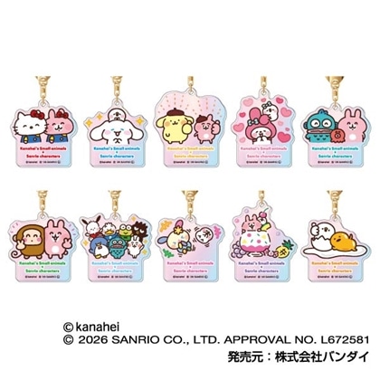 カナヘイの小動物×サンリオキャラクターズ オーロラアクリルキーホルダー 【1BOX】