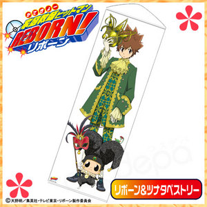 家庭教師ヒットマンREBORN! - リボーン&ツナタペストリー