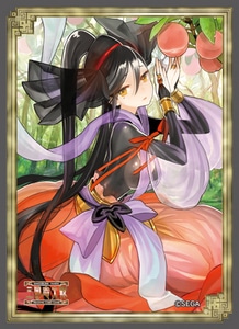 三国志大戦トレーディングカードゲーム オフィシャルスリーブ Vol.3 鄒