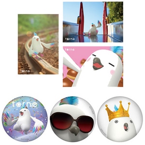 「torne(トルネ)」 トルネフ ポストカードセット（3枚入り）&缶バッジセット