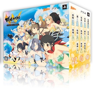 閃乱カグラ ESTIVAL VERSUS -少女達の選択- にゅうにゅうDXパック PREMIUMPS4版（エビテン限定特典付き）