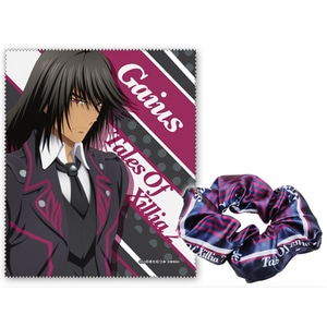 テイルズ オブ エクシリア2 シュシュ&クロス(ガイアス)