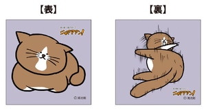 猫のぽんた ミニクッション