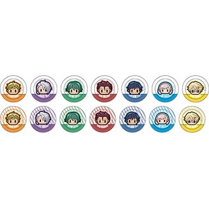 喧嘩番長 乙女 トレーディングアイコン缶バッジ