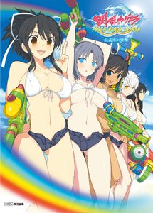 閃乱カグラ PEACH BEACH SPLASH 公式イラスト集　ebtenDXパック