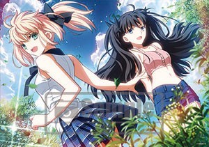「Fate/stay night」武内崇イラスト B2タペストリー（セイバー＆凛）※2023年7月発売予定