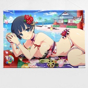 シノビマスター 閃乱カグラ NEW LINK B2タペストリー(夜桜/水着)