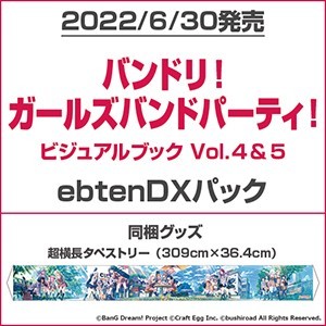 バンドリ！ ガールズバンドパーティ！ ビジュアルブック Vol.4&5 ebtenDXパック