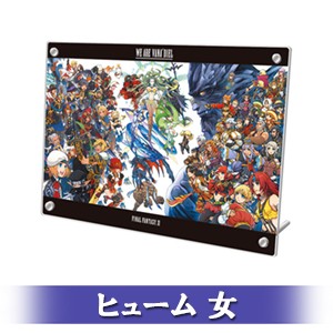 FINAL FANTASY XI 20th ANNIVERSARY PLATE 冒険者の足跡Ver.B ヒューム 女 顔タイプ 1-a