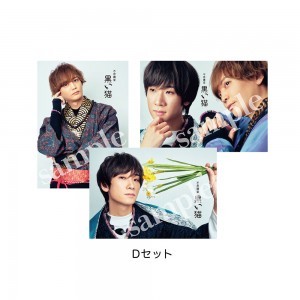 不思議堂【黒い猫】～御茶ノ水の宴 梅～ブロマイド セットD