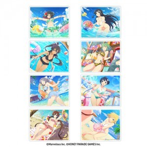 閃乱カグラ　アクリルワイドコースター ボックス版