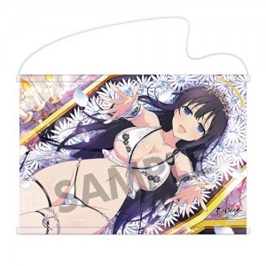 シノビマスター 閃乱カグラ NEW LINK B2タペストリー 両姫(乳籍祭)