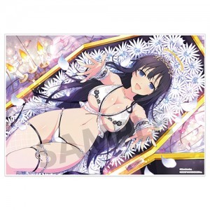 シノビマスター 閃乱カグラ NEW LINK ビジュアルアクリルプレート 両姫(乳籍祭)