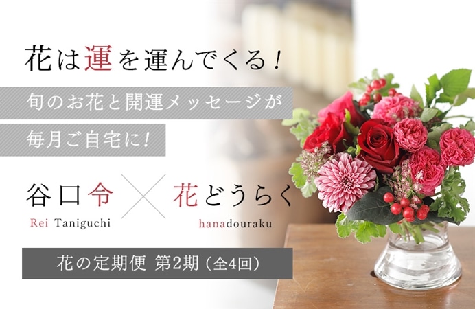 花は運を運んでくる！ 旬のお花と開運メッセージが毎月ご自宅に！ 谷口令×花どうらく花の定期便　第2期（全4回）