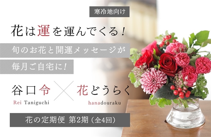 【寒冷地向け】花は運を運んでくる！ 旬のお花と開運メッセージが毎月ご自宅に！ 谷口令×花どうらく花の定期便　第2期（全4回）