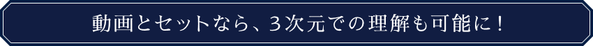 動画とセットなら、３次元での理解も可能に！