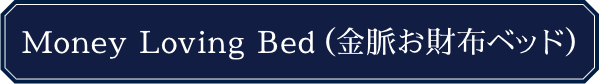 杉口加奈さん　金脈財布&amp;お財布ベッド 杉口加奈 Money Loving Bed（金脈お財布ベッド）: ファッション
