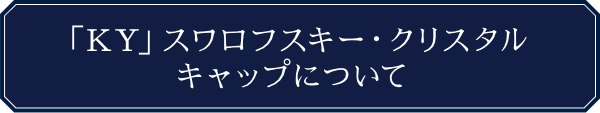 KADOKAWA公式ショップ】ラグジュアリー｜ワタナベ薫｜「KY