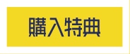 購入特典