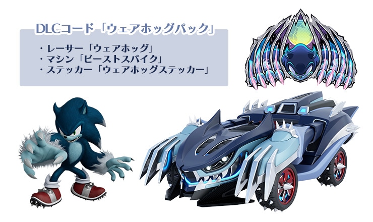 ソニックレーシング クロスワールド セガストア限定版 DXパック